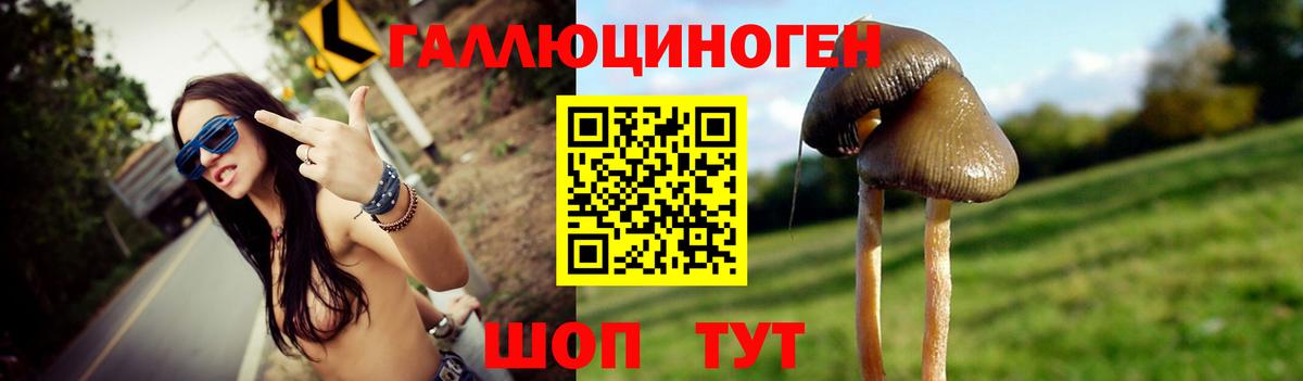 Галлюциногенные грибы мухоморы Верхняя Пышма
