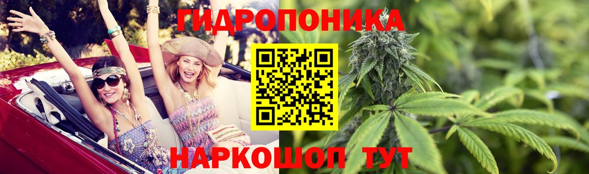 Верхняя Пышма  Бошки марихуана Bruce Banner  Канабис гибрид  Марихуана VHQ  Вход с VPN 